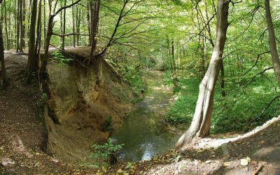 Jurajskie dolinki pod Krakowem