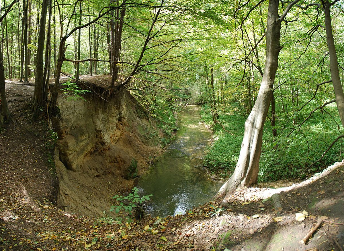 Jurajskie dolinki pod Krakowem (Dolina Racławki i Tenczynek)