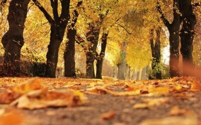 Jesienny urlop w Małopolsce: jakie atrakcje wybrać, co zwiedzić, gdzie się zatrzymać
