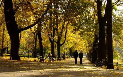 Co robić jesienią w Krakowie?