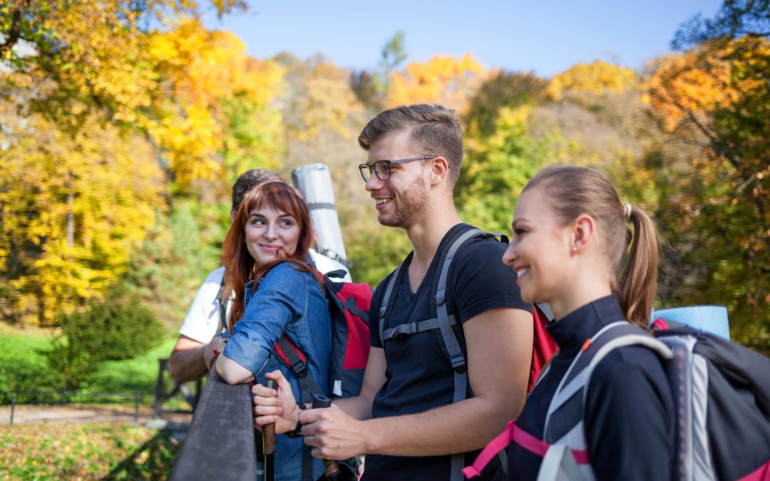 Co zobaczyć w Zatorze i okolicach?