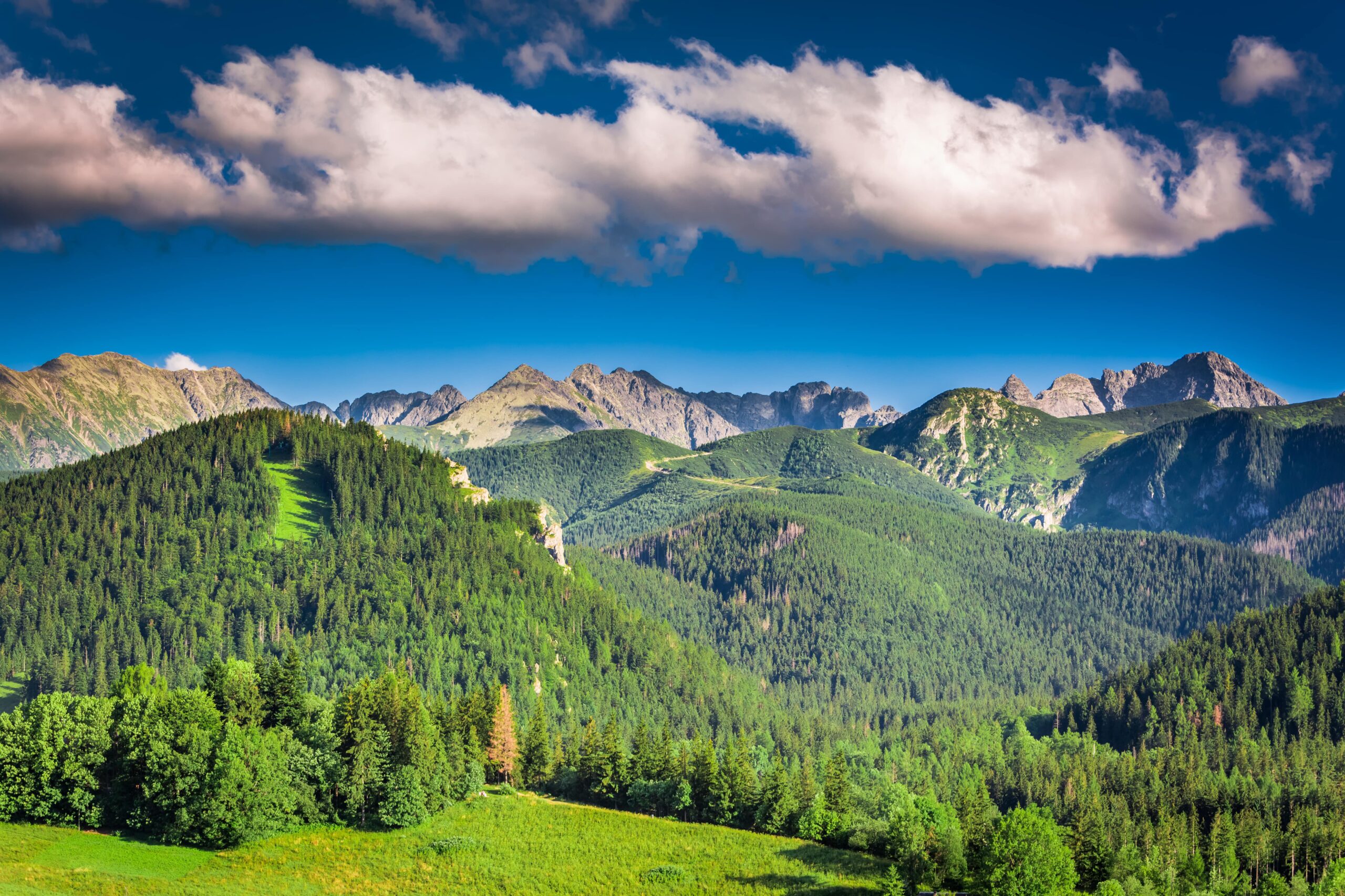 tatry