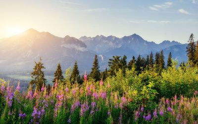 Zakopane – atrakcje stolicy Tatr