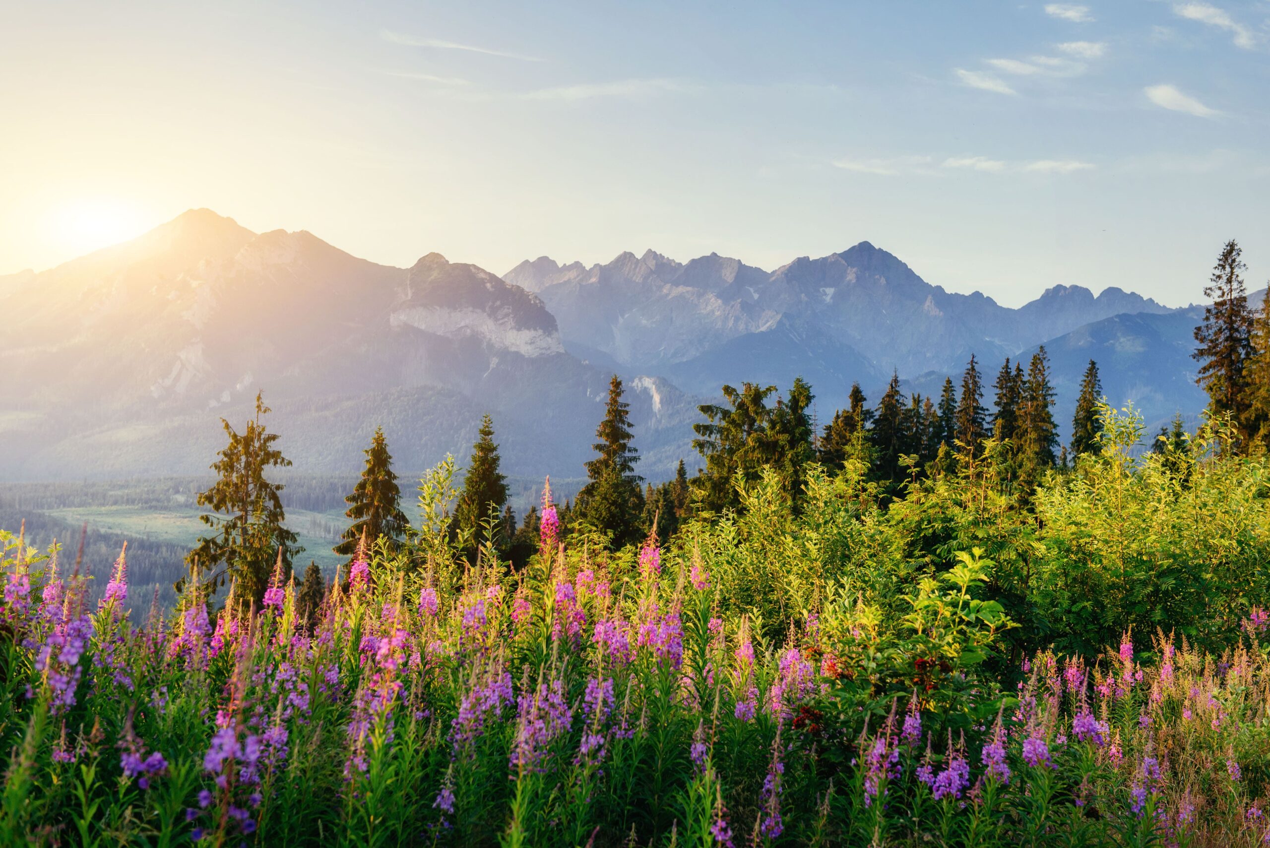 zakopane atrakcje