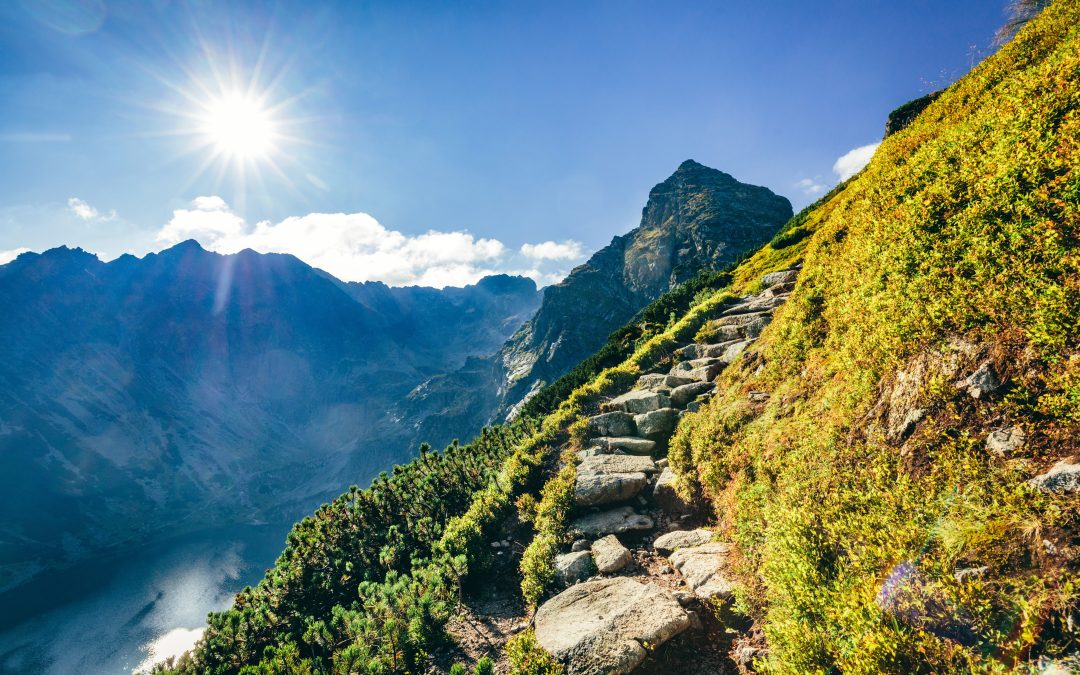 Dolina Chochołowska