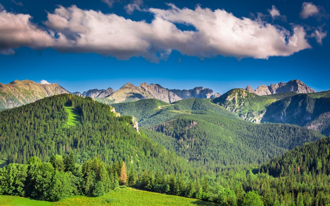 Dolina Białej Wody – przewodnik po bajkowych krajobrazach