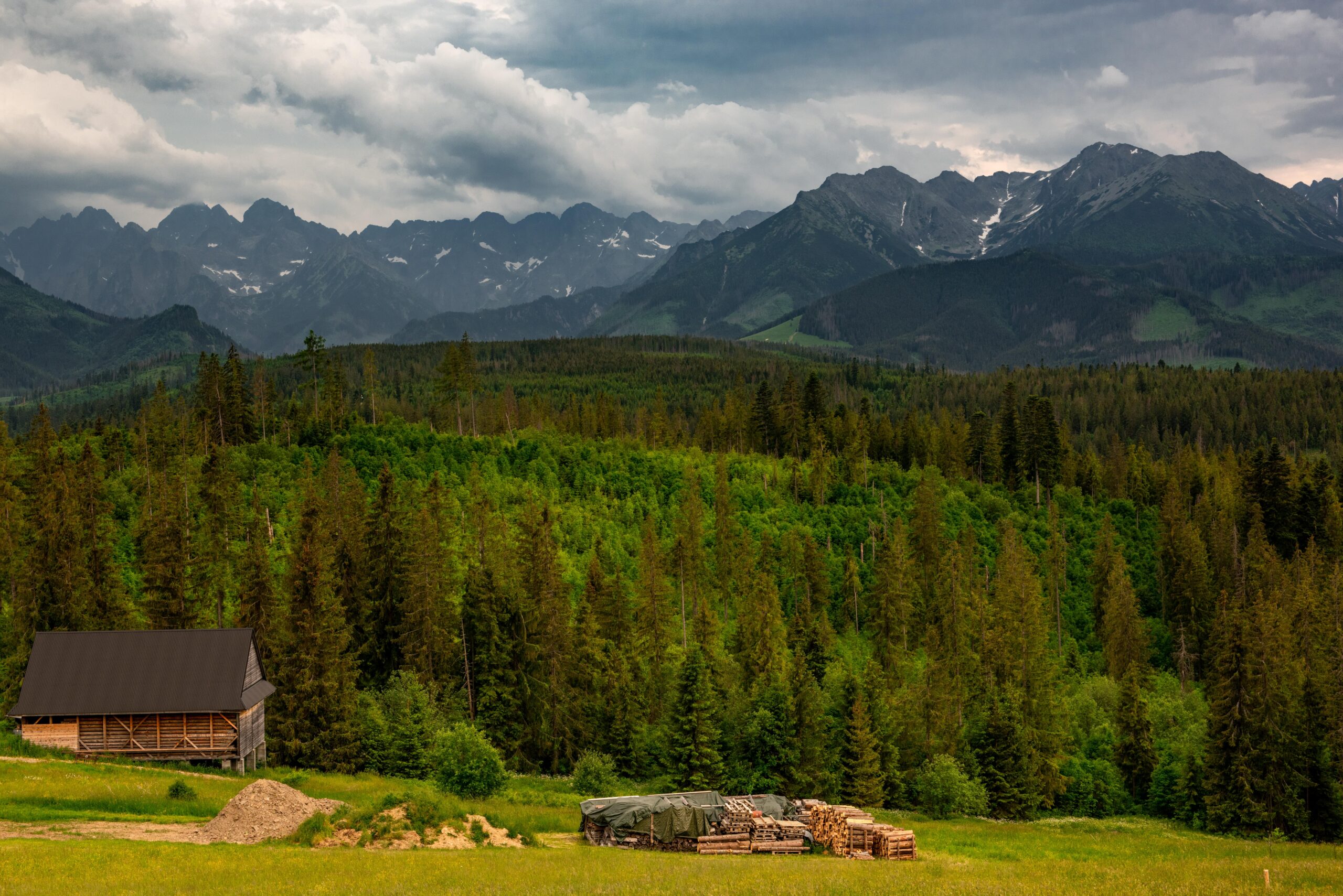 widok_na_góry