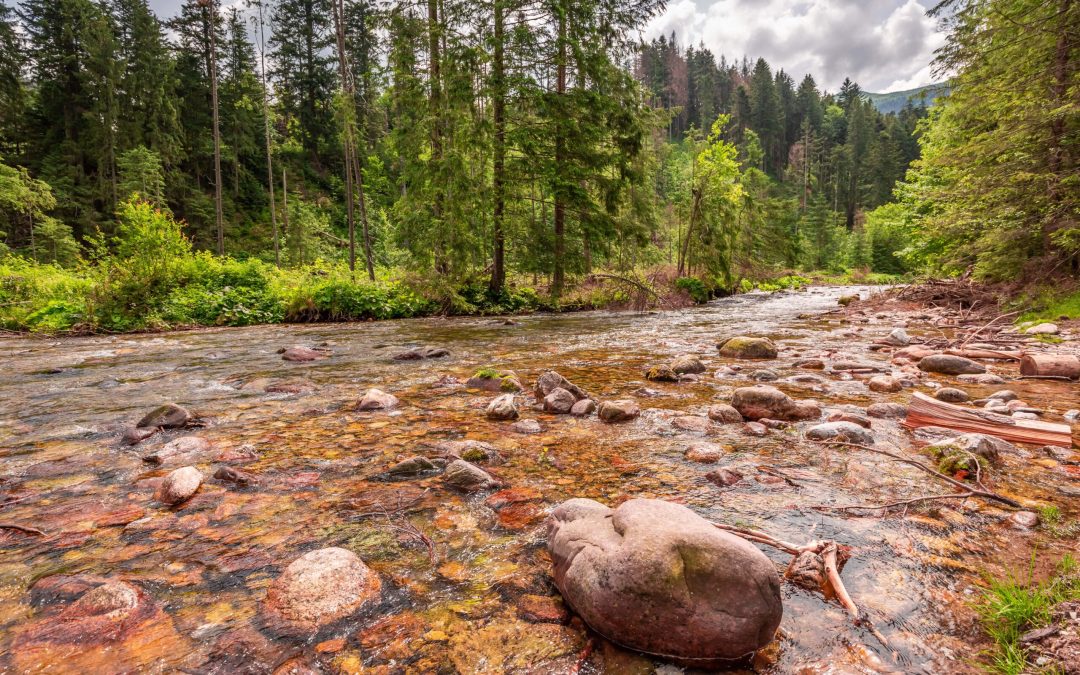 Gdzie na weekend w Polsce?