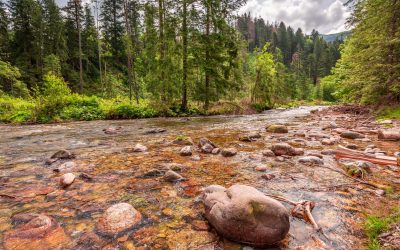 Gdzie na weekend w Polsce?