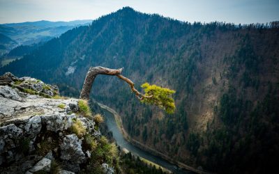 Malowniczy szczyt Sokolica