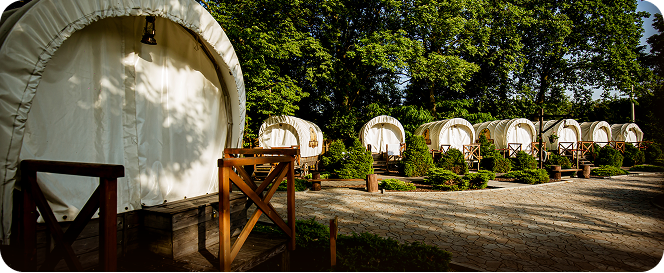 group-girls-sitting-hay-with-horses