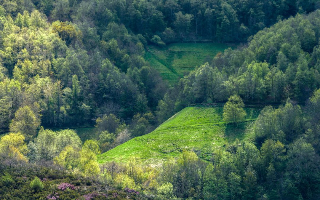 Magurski Park Narodowy