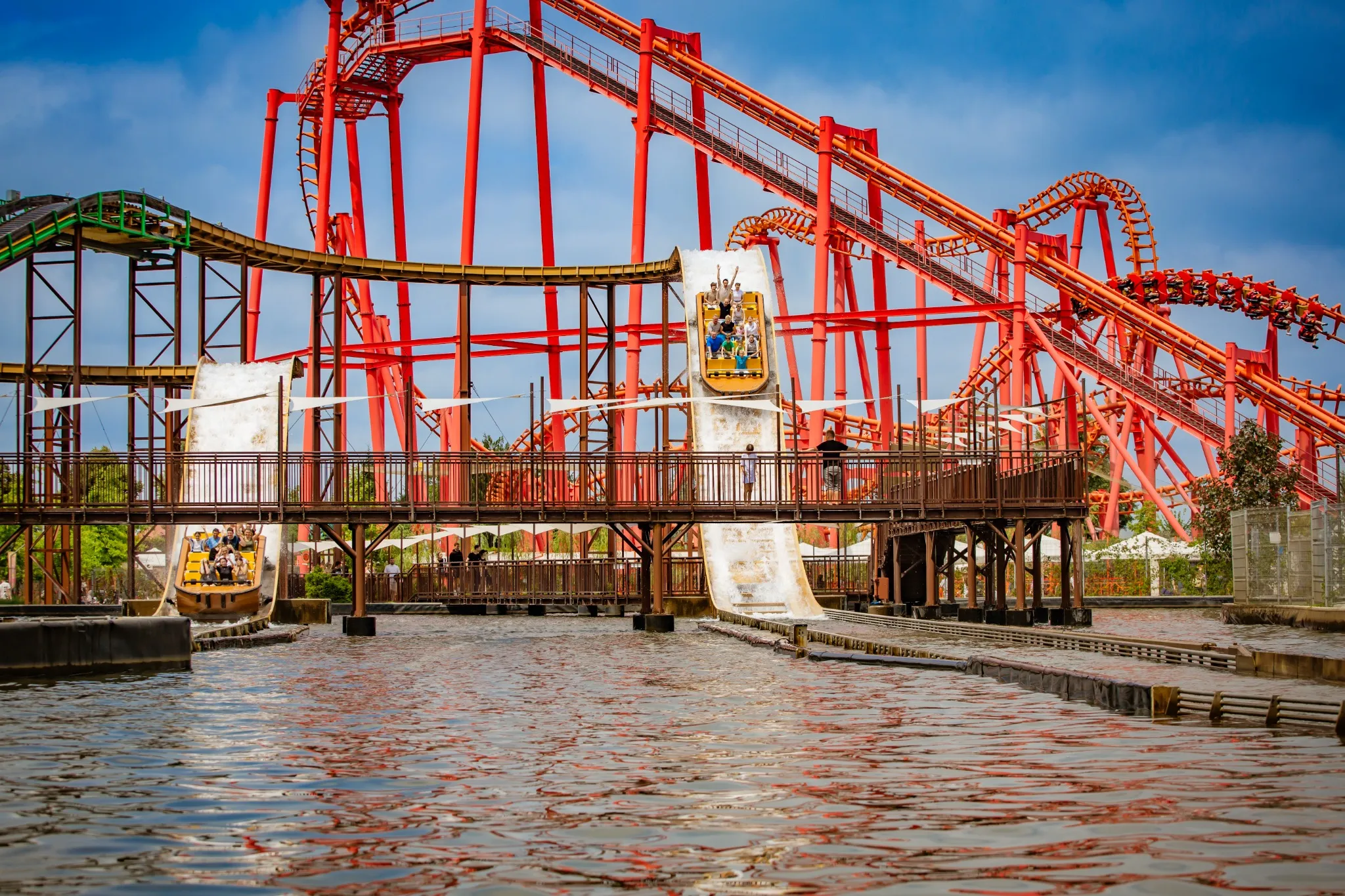 Anaconda NORMALNY I ULGOWY