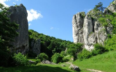 Wiosna w Małopolsce – jak ją spędzić poza domem?