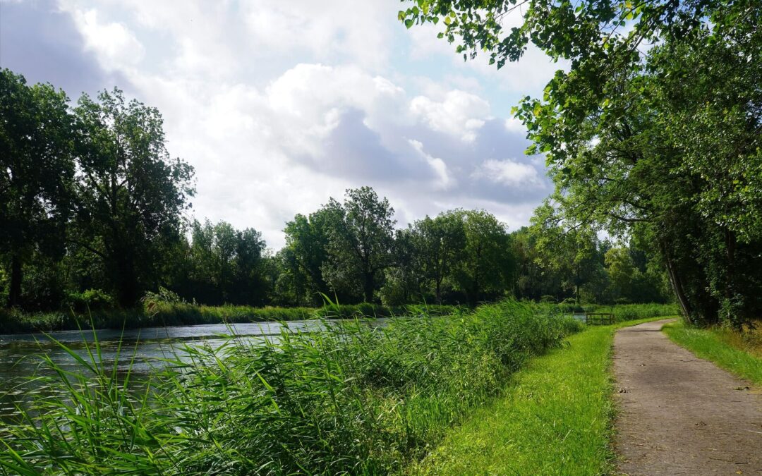 Zator - praktyczny przewodnik po atrakcjach w okolicy | WesternCamp.pl